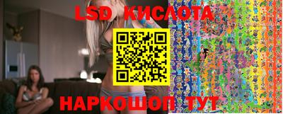 тгк Гусев