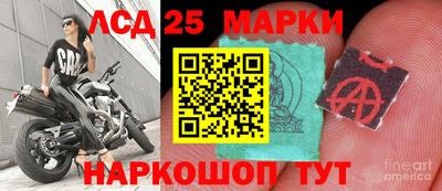 тгк Гусев