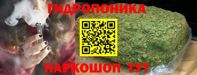 тгк Гусев